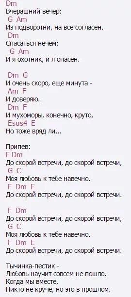 Almaty до скорых встреч аккорды. До скорой встречи песня слова. До скорой встречи звери т. До скорой встречи звери текст. Текст до скорой встречи текст.