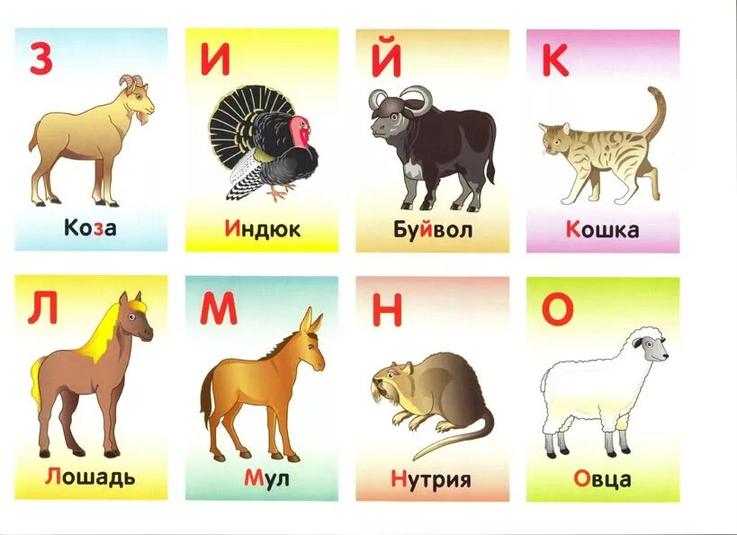 Слова н й. Азбука и животные. Алфавит с животными для детей. Животные на букву а. Азбука животных в картинках.