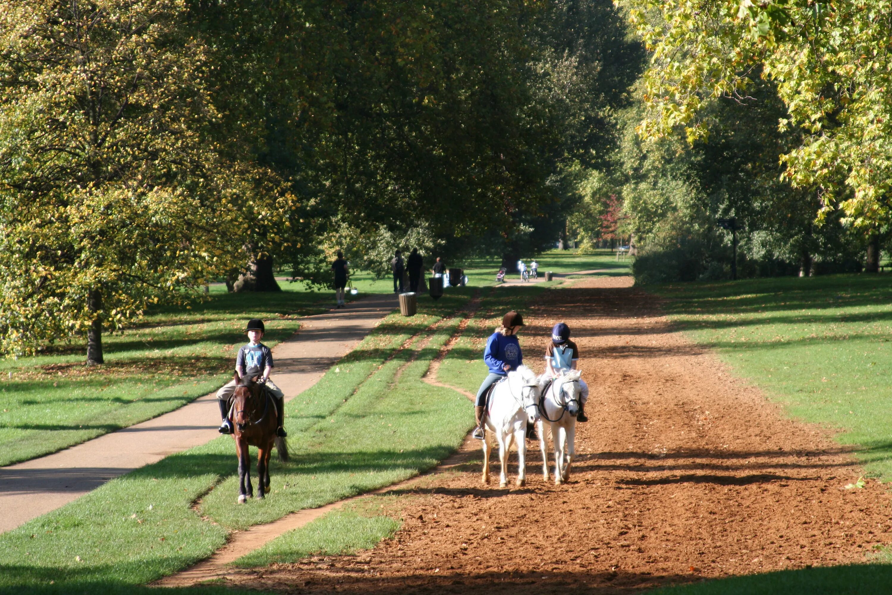 Гайд-парк (Hyde Park), Лондон. Хайд парк в Лондоне. Гайден парк. Hyde Park 19 век.