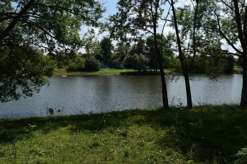 Село жеденовка курская область. Рыльск хомутовка расписание. Рыльск хомутовка расписание. Хомутовка, рыльск на карте. Курская область границы.