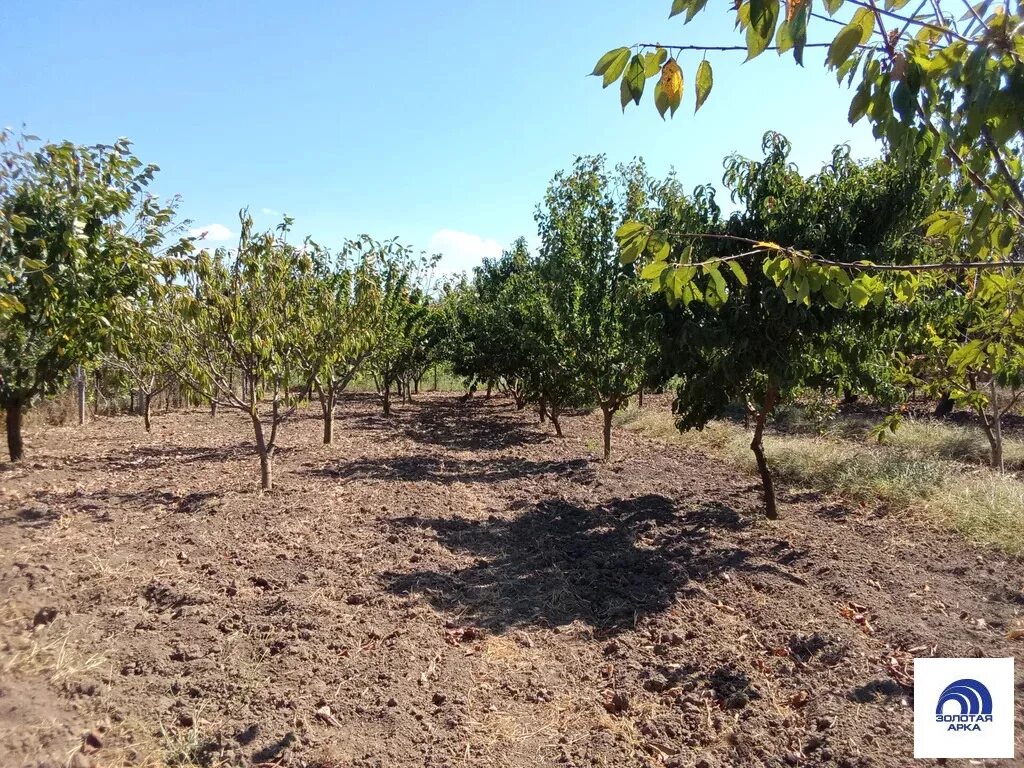 Станица садовая краснодарский край