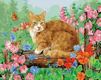 Котик по номерам