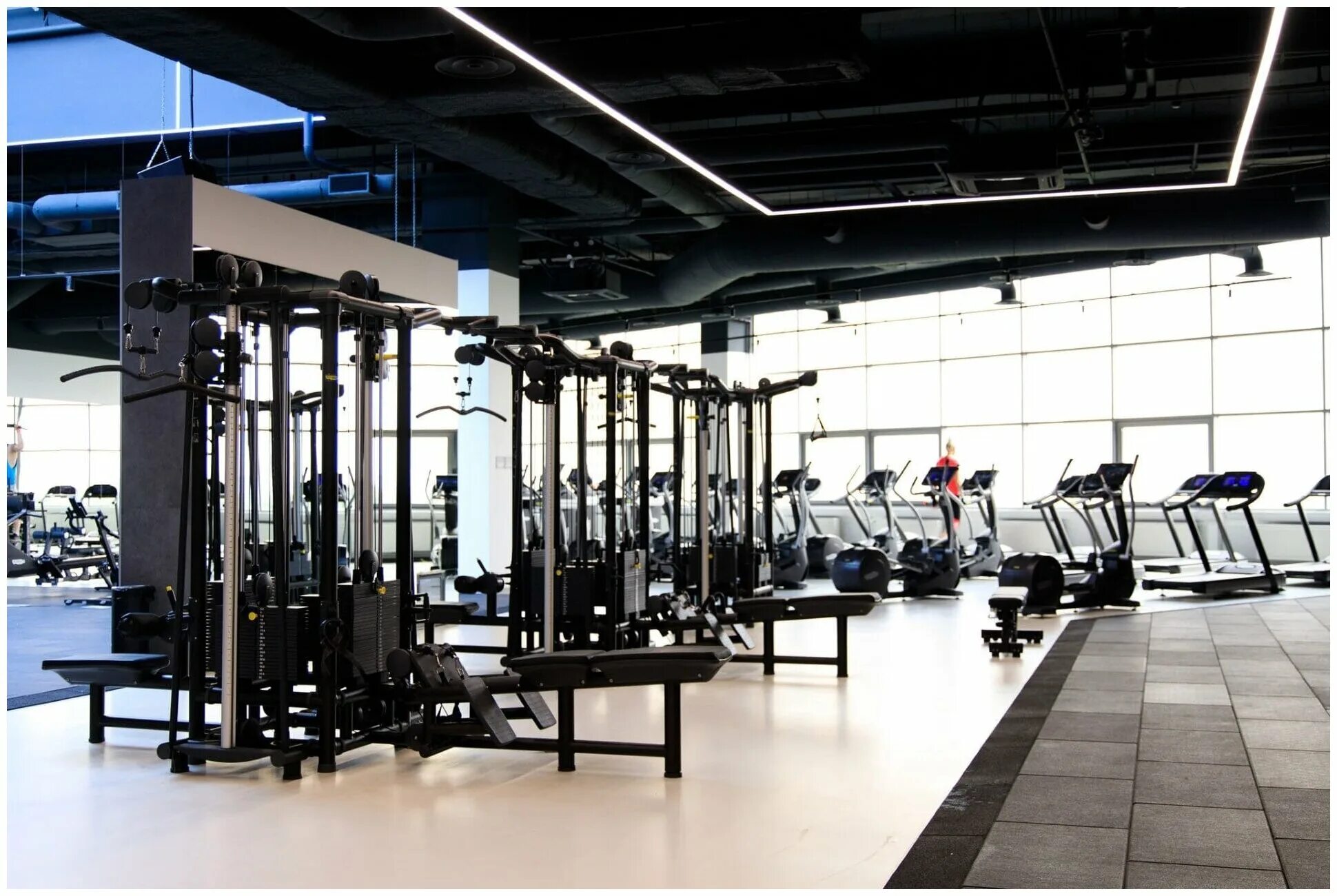 Ddx fitness мытищи июнь.