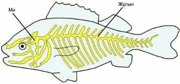 Алғашқы секс тәжірибесін онлайн көріңіз