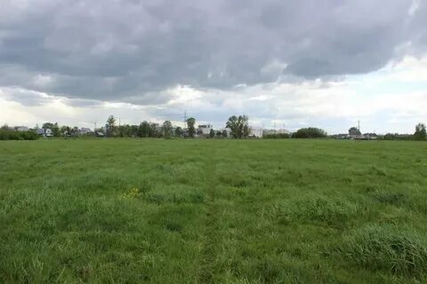 Поле тверь