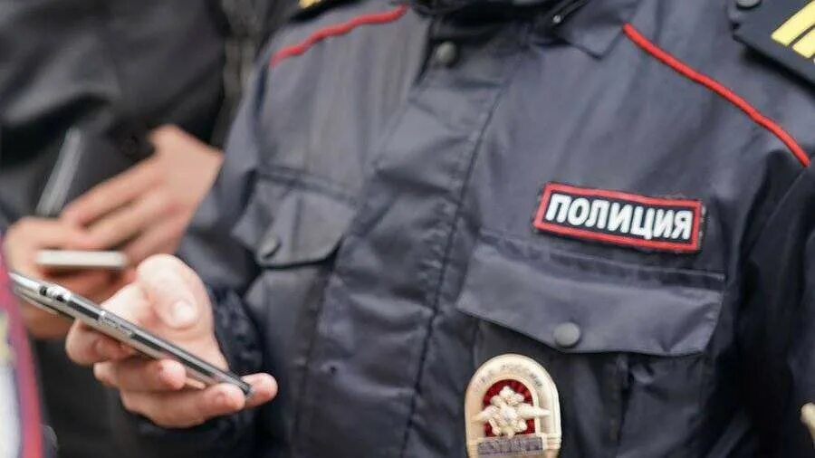 мошенник в маске. картонный полицейский мошенники. ппс орехово зуево. мошенничество полицейских. мошенник суд.