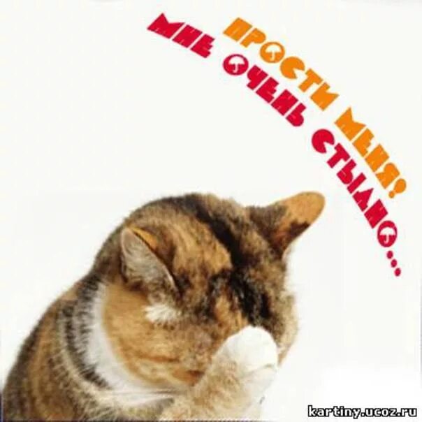 вспоминают когда что нужно.