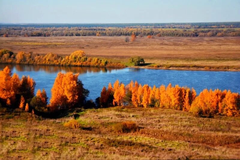 Родной край рязань сайт. Родной край рязань сайт. Родной край рязань сайт. Село константиново природа. Я люблю рязань.