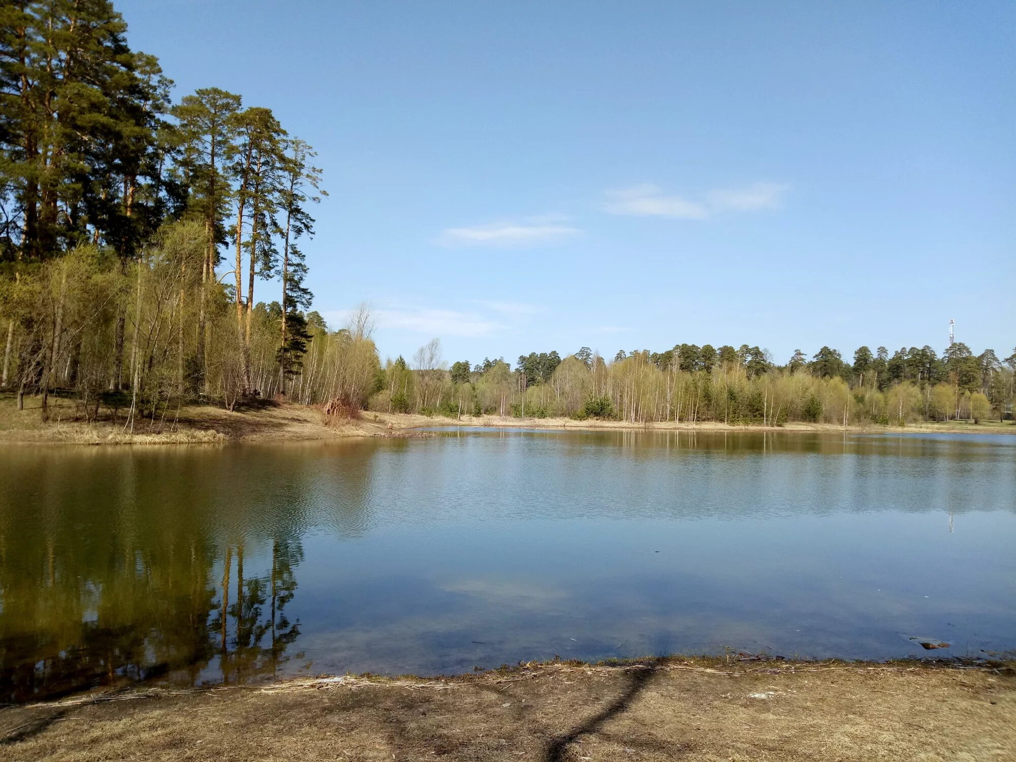 Прогали