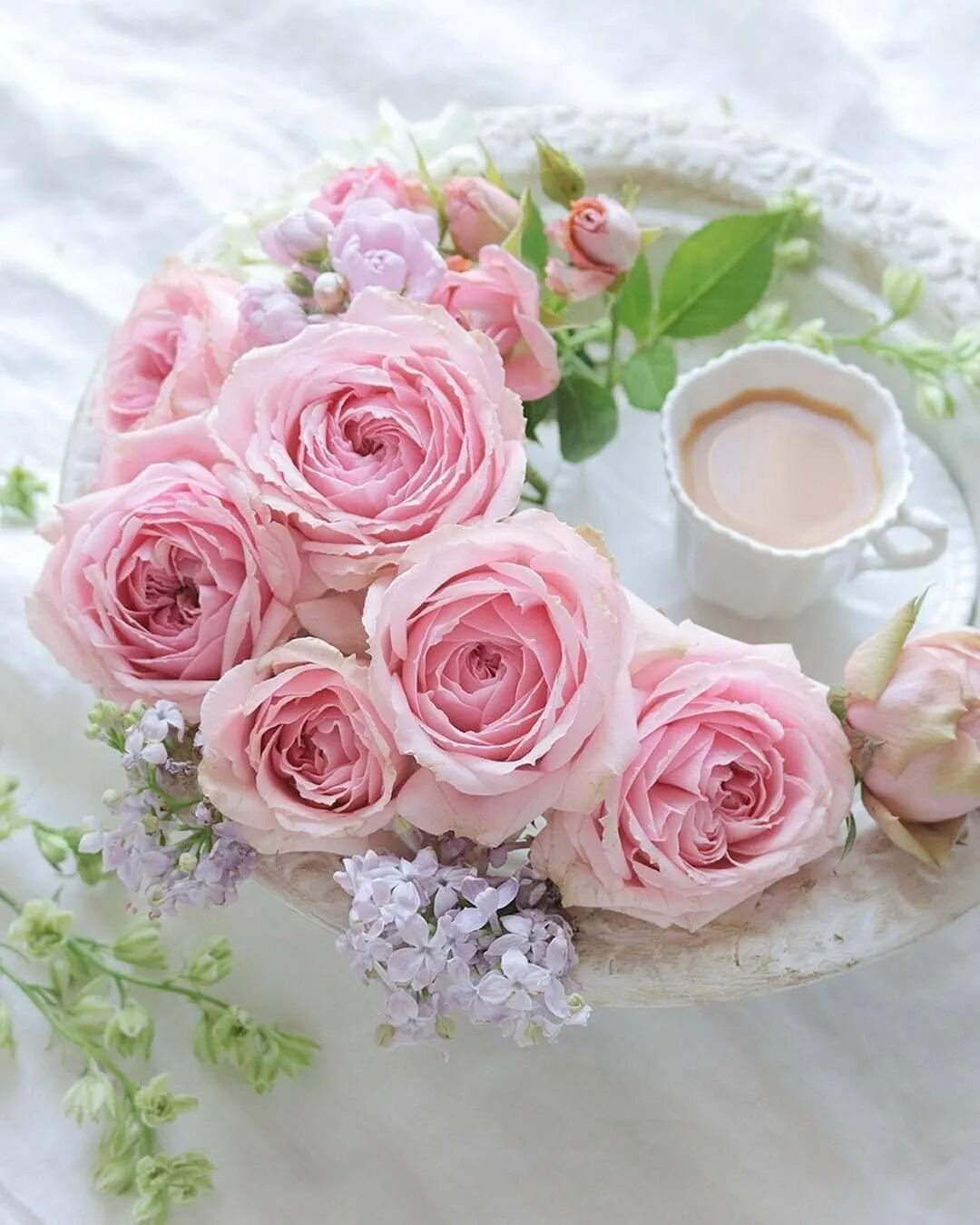 Утро женщине картинки. Нежные розы. Нежный цветок. Утренние цветы. Нежнейшие розы.