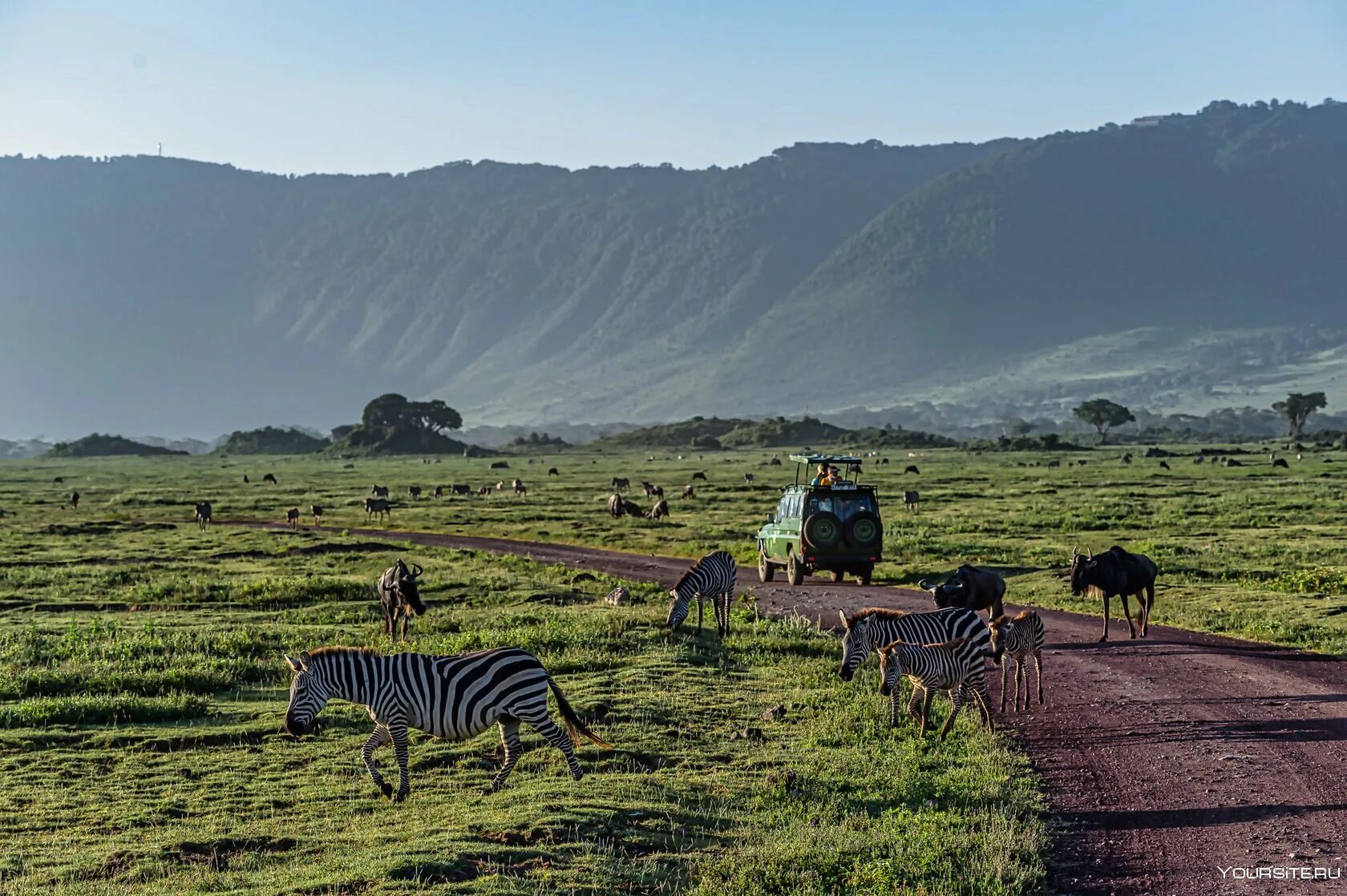 Trip africa. Заповедная зона Нгоронгоро Танзания. Кратер Нгоронгоро Танзания. Национальный парк Нгоронгоро в Танзании сафари. Кратер в Африке Нгоронгоро.