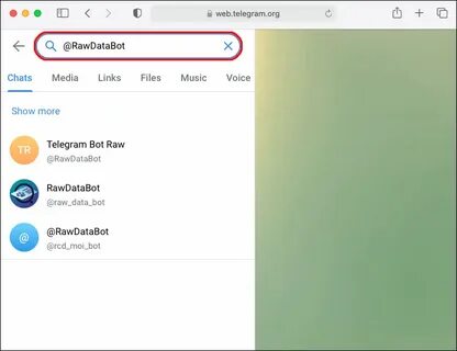 Как получить chat id telegram