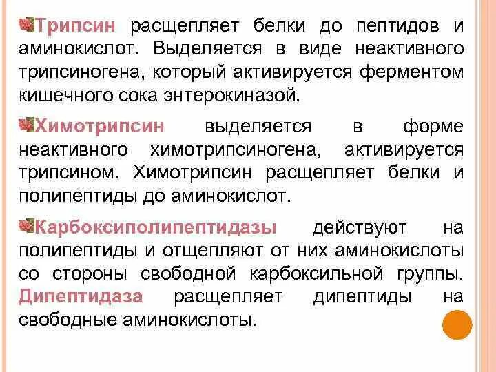 Трипсин расщепляет белки до. Трипсин продукты расщепления. Трипсин фермент расщепляет. Расщепление белков до пептидов. Какой фермент способен расщеплять пептиды