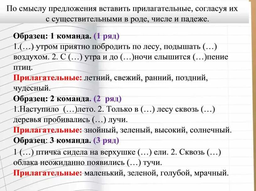 10 предложений с прилагательными. Прилагательные к лету. Предложение с прилагательным летнему. Птицы прилагательные. Вставить прилагательное.