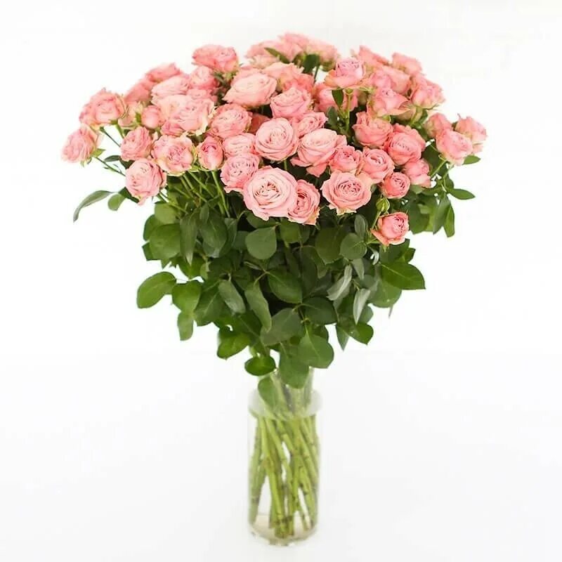 как выглядят кустовые розы