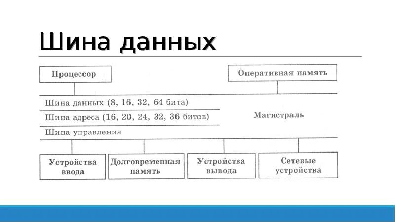 Шины управления шины данных шины. Шина данных. шина адреса и шина данных. шины данных виды. шина данных шина адреса шина управления.