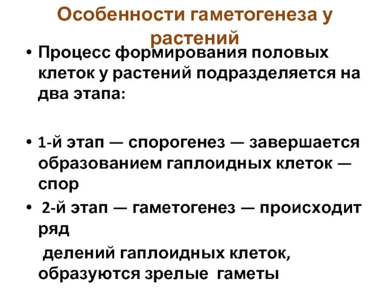 Образование гаплоидной макроспоры мейоз образование восьмиядерного