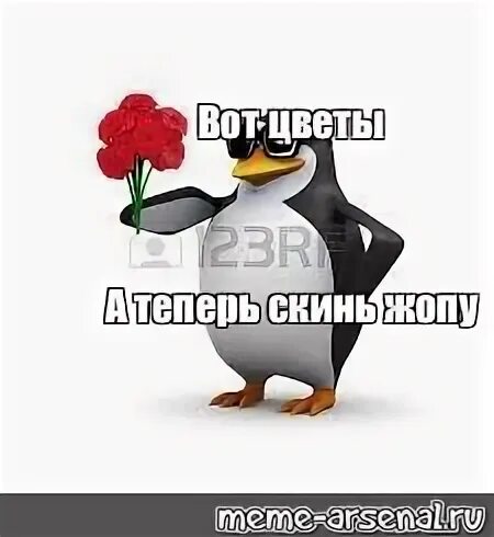 Пингвин с сердечком. Пингвин мем. Пингвин с цветами. Пингвинчик с цветами. Пингвин с цветочком.