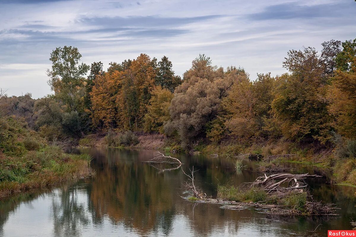 зима река. река дема в разные времена года. растения и животные реки дема. вечер на реке дема. река дема альшеевский район.