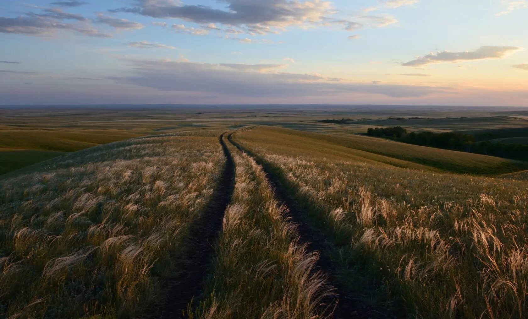 Степная зона россии. Степь 4 буквы. Природа степь оренбург. Равнинный пейзаж. Цветущая степь.