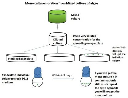 Using culture