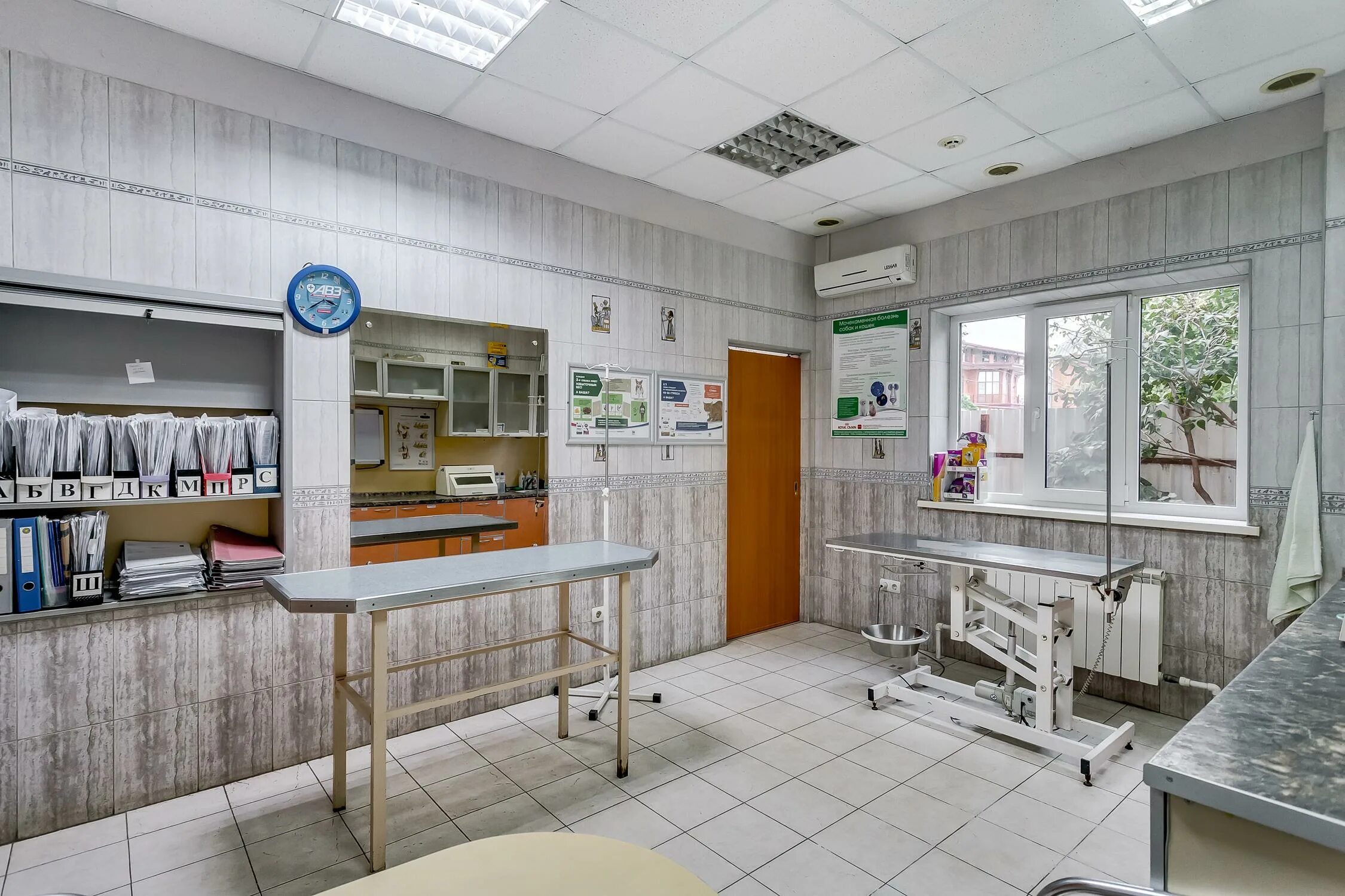 Клиника на белорусской 203. Ветклиника на белорусской. Белгосветцентр официальный сайт. Ветклиника белорусская. Ветклиника на белорусской ростов-на-дону.