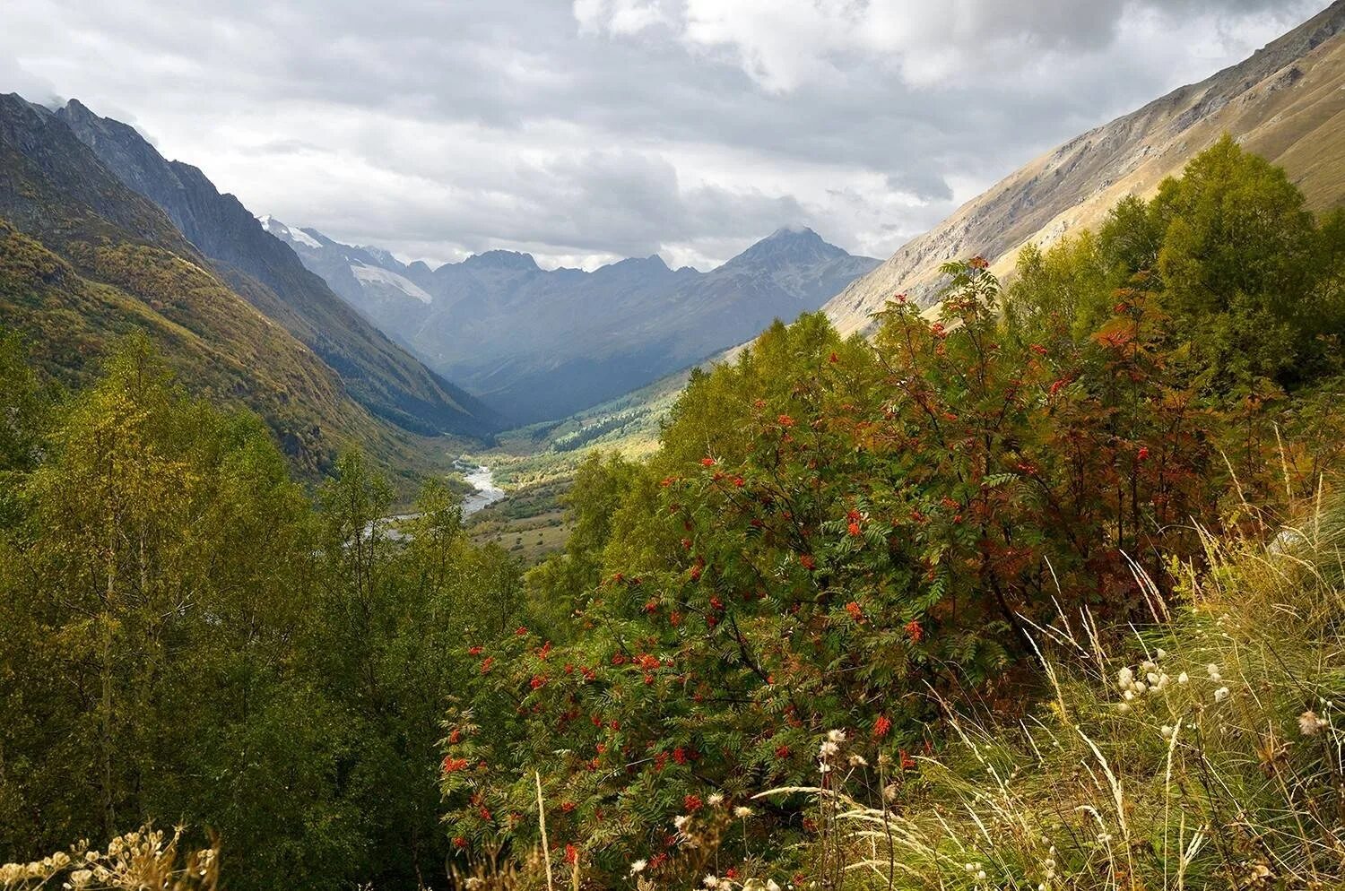 Кчр маруха ущелье. Долина нарзанов джилы-су в кабардино-балкарии. Баксанское ущелье кабардино-балкарии. Домбай осенью тебердинский заповедник. Домбай ульген гора.