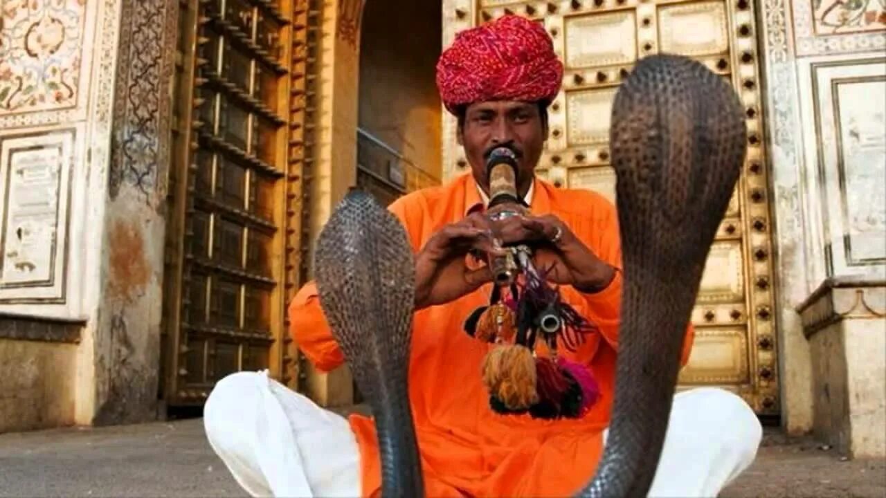 Заклинатель змей рассказ. Заклинатели змей в Индии. Индус Заклинатель змей. Укротитель змей в Индии. Факир цирк Заклинатель змей.