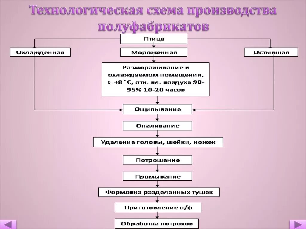 Технологическая схема производства полуфабрикатов из мяса птицы. Технологическая схема производства мелкокусковых полуфабрикатов. Технологическая схема производства крупнокусковых полуфабрикатов. Технологическая схема производства порционных полуфабрикатов. Технологический цикл кулинарной продукции