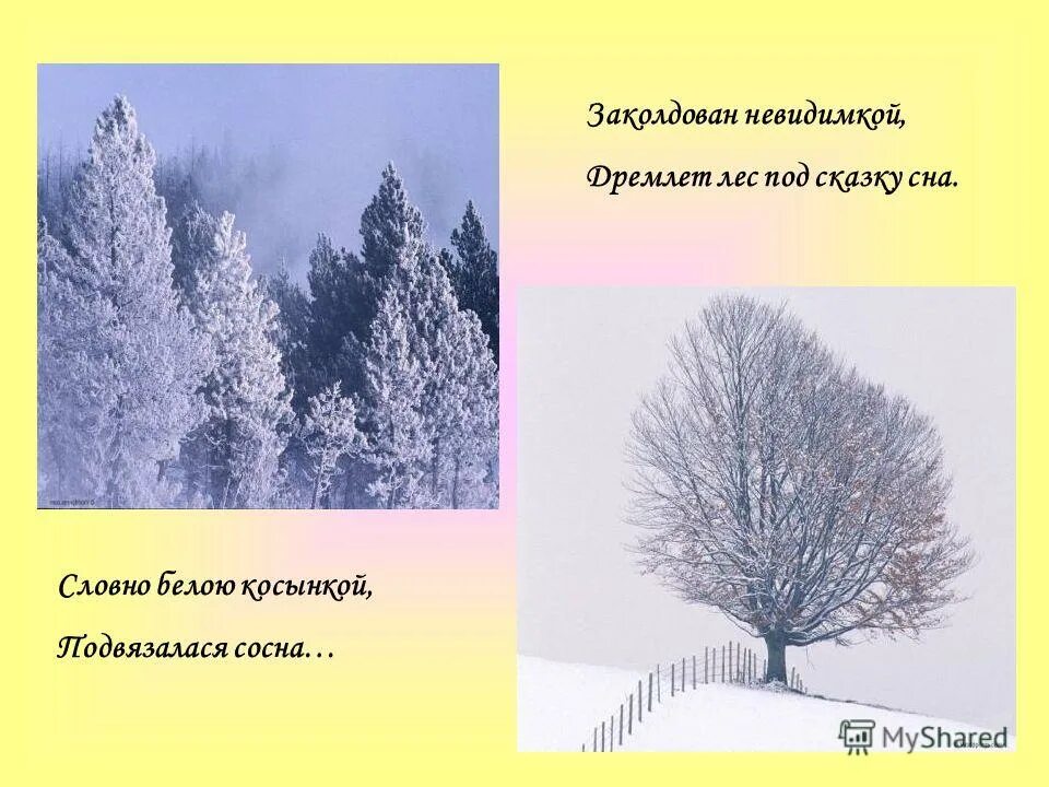 дремлет лес под сказку сна. заколдован невидимкой дремлет. словно белою косынкой подвязалася сосна. стих заколдован невидимкой. заколдован невидимкой дремлет лес под сказку.