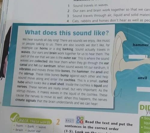 Words from the text. Use the Words in the list to Label the diagram. Use Words from the text to Label the picture.. Use words from the check these words