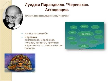 План черепаха