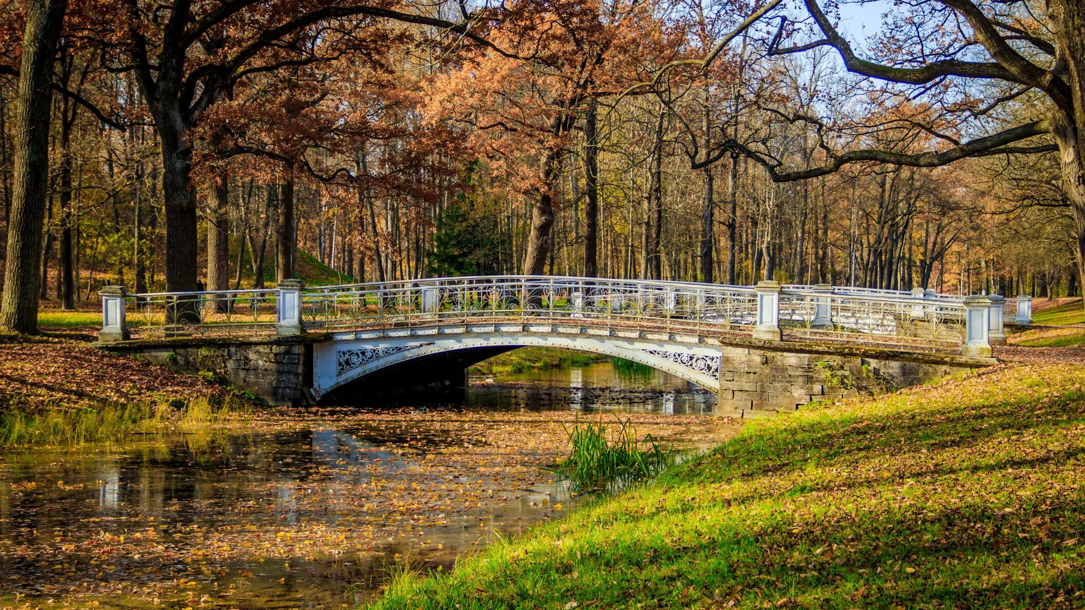 чикаго (иллинойс) парки. централ парк нью-йорк деревья. бруклин бридж парк. парк койкенхоф голландия. осенний центральный парк нью-йорка.