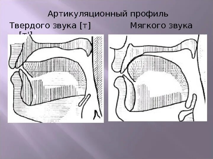 Звук д произношение. Профиль артикуляции звука т. Артикуляционный профиль звука с. Артикуляционный профиль звука ть. Артикуляция звука т и д.