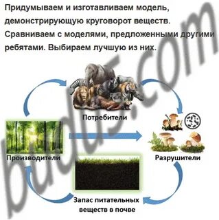 Круговорот жизни 3 класс окружающий мир тест
