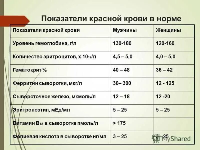 Содержание в 12 в крови