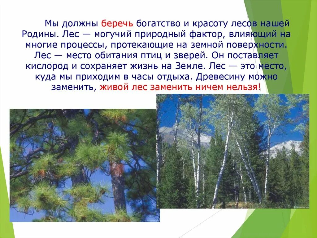 Сочинение на тему берегите природу. Презентация на тему береги природу. Текст на тему берегите природу. Тезис на тему берегите природу. Сообщение о природе 6 класс