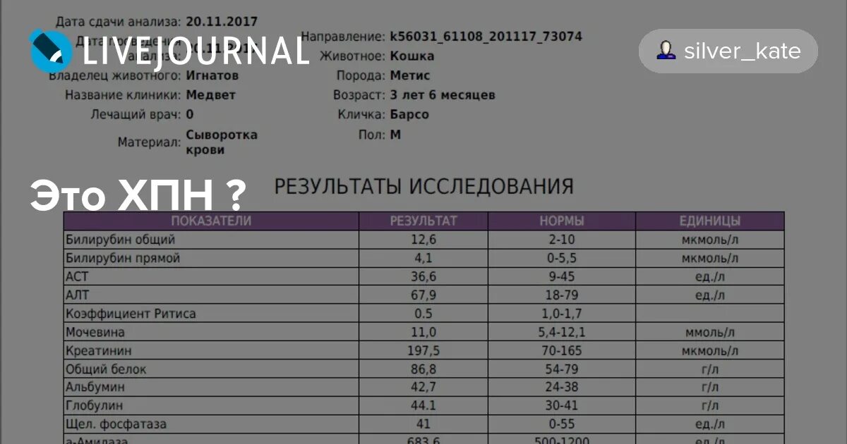 Биохимический анализ крови креатин норма. Анализ мочевина и креатинин. Мочевина и креатинин норма. Исследование на креатинин и мочевину. Биохимический креатинин мочевина