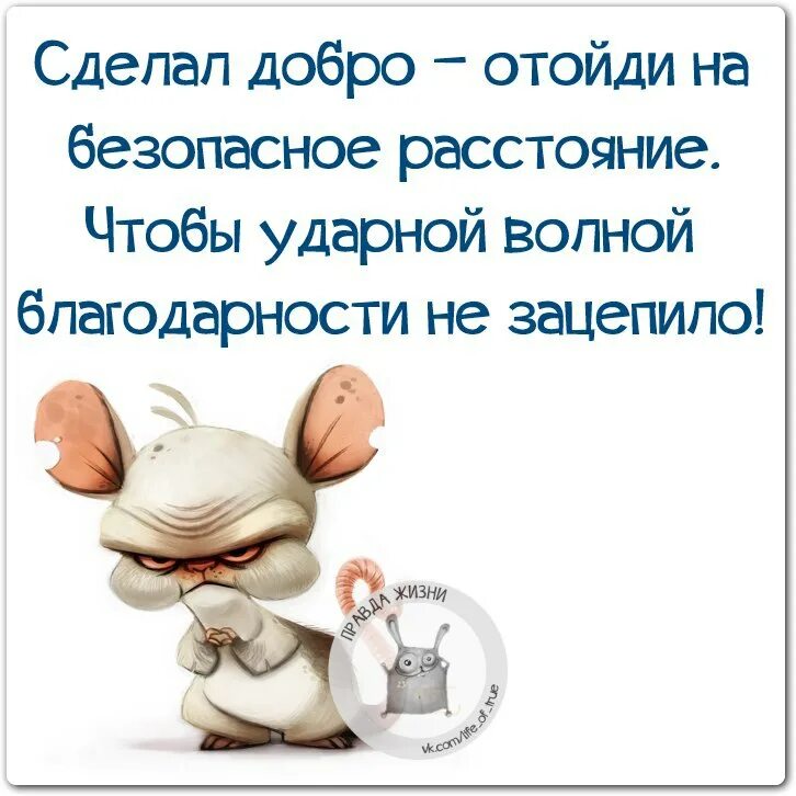 Жизнь цитата позитив. Мудрые позитивные высказывания. добрые высказывания о жизни с юмором. позитивные цитаты на каждый день. веселые афоризмы на каждый день.