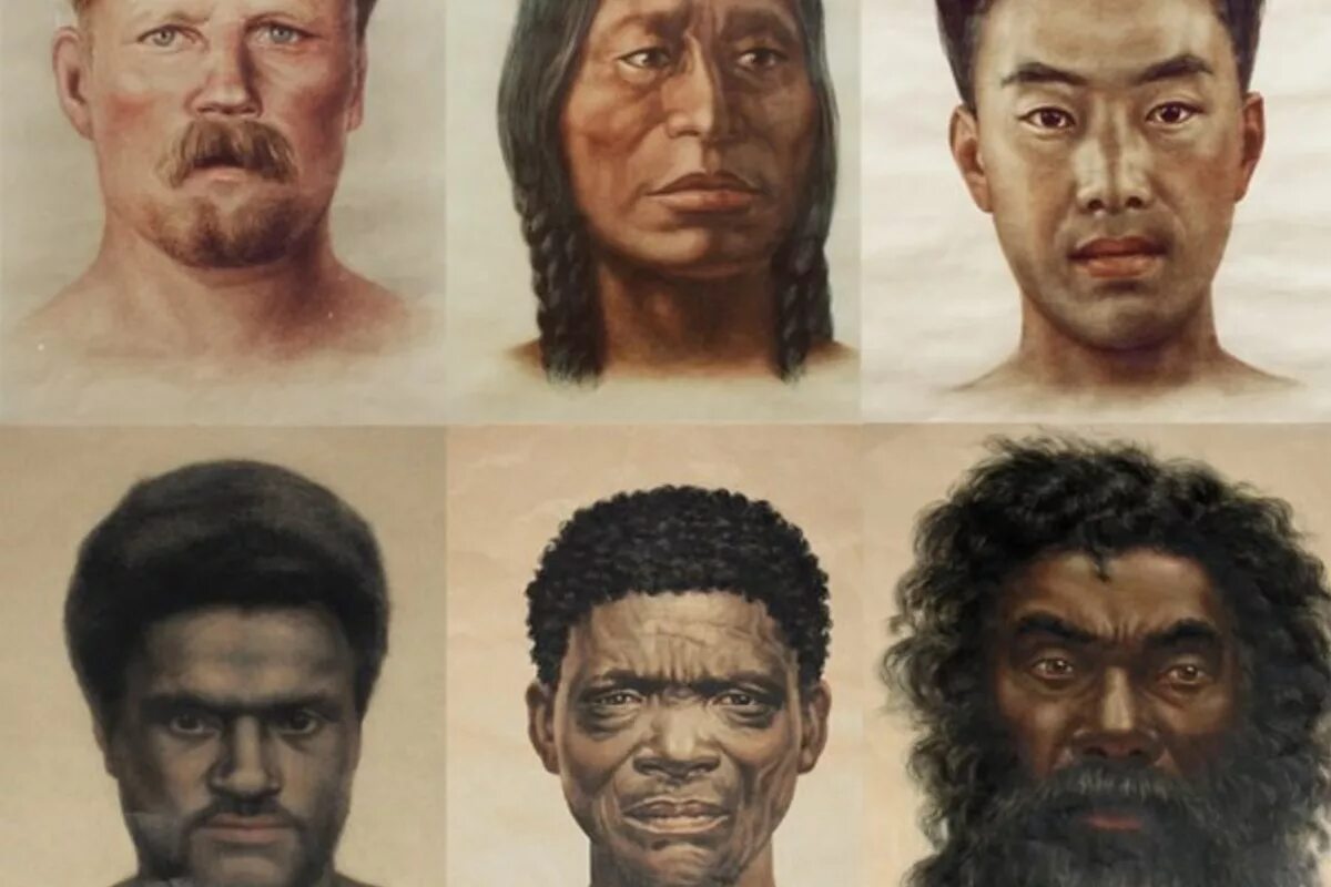 Расы людей. Расы и народы. Этнические портреты разных народов. 4 Расы человечества.