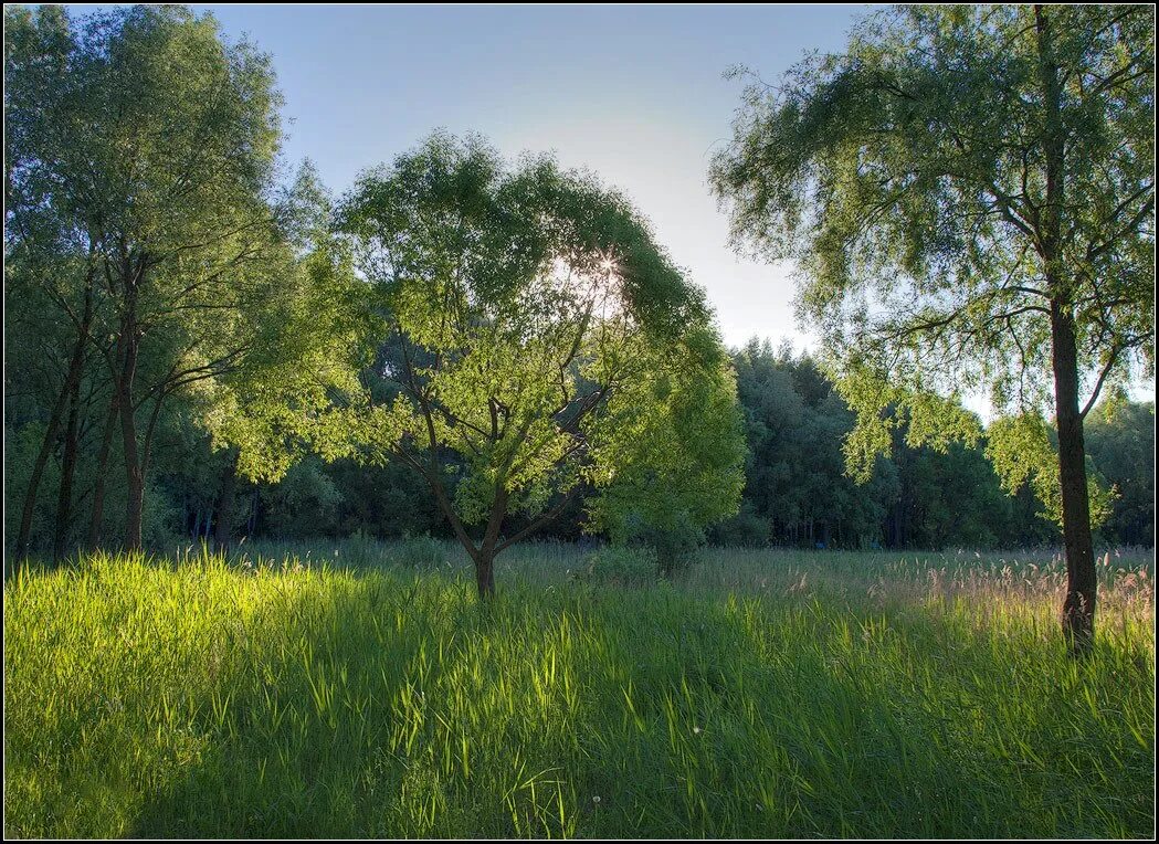 Прохладное начало лета. Лето фото. Лето картинки. Фото лета. Летний день.