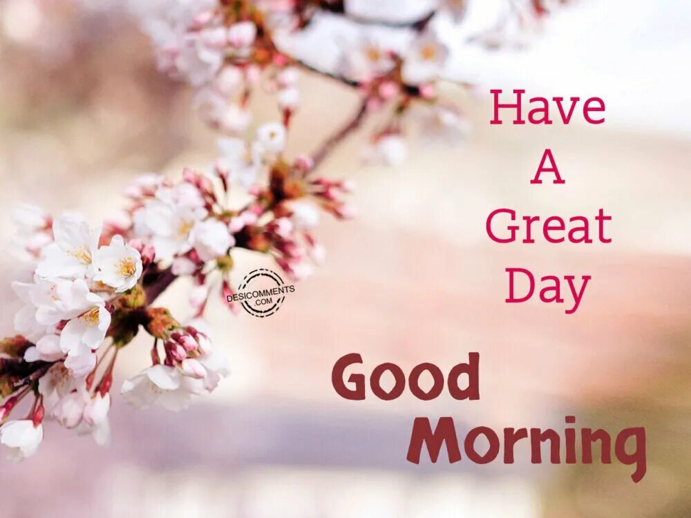 Good morning have a great Day. Have a great Day открытки. Открытки good morning have a good Day. Have a good Day картинки.
