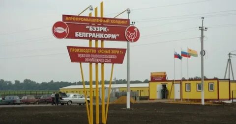 Ясные зори белгородская область