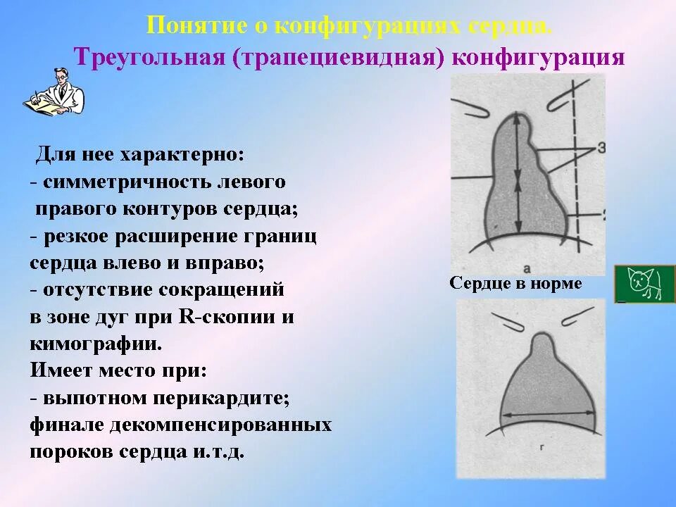 Митральная и аортальная конфигурация сердца. Изменение формы сердца. Конфигурация сердца в норме схема. Положение сердца у людей разных типов телосложения. Шаровидная конфигурация сердца схема.