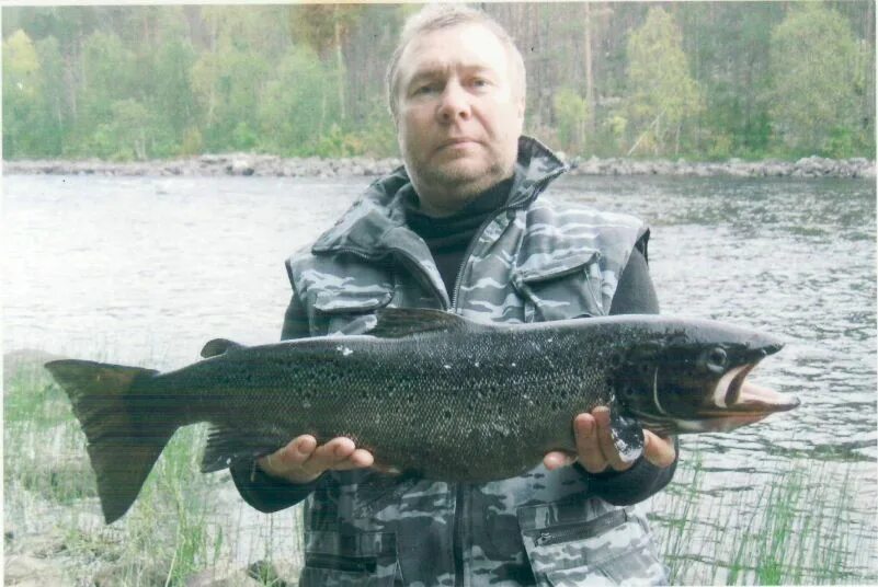 Рыбалка в северной осетии. Ямал ненцы охота рыбалка. Северные рыбаки. Муксун рыба. Эвенки рыболовство.