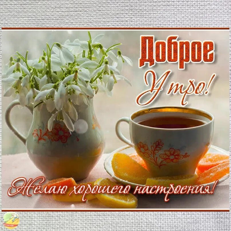 С добрым утром желаю удачи. Доброе утро хорошего настроения. удачного утра и дня. самого доброго утра и хорошего настроения. пожелания с добрым утром и хорошего настроения.