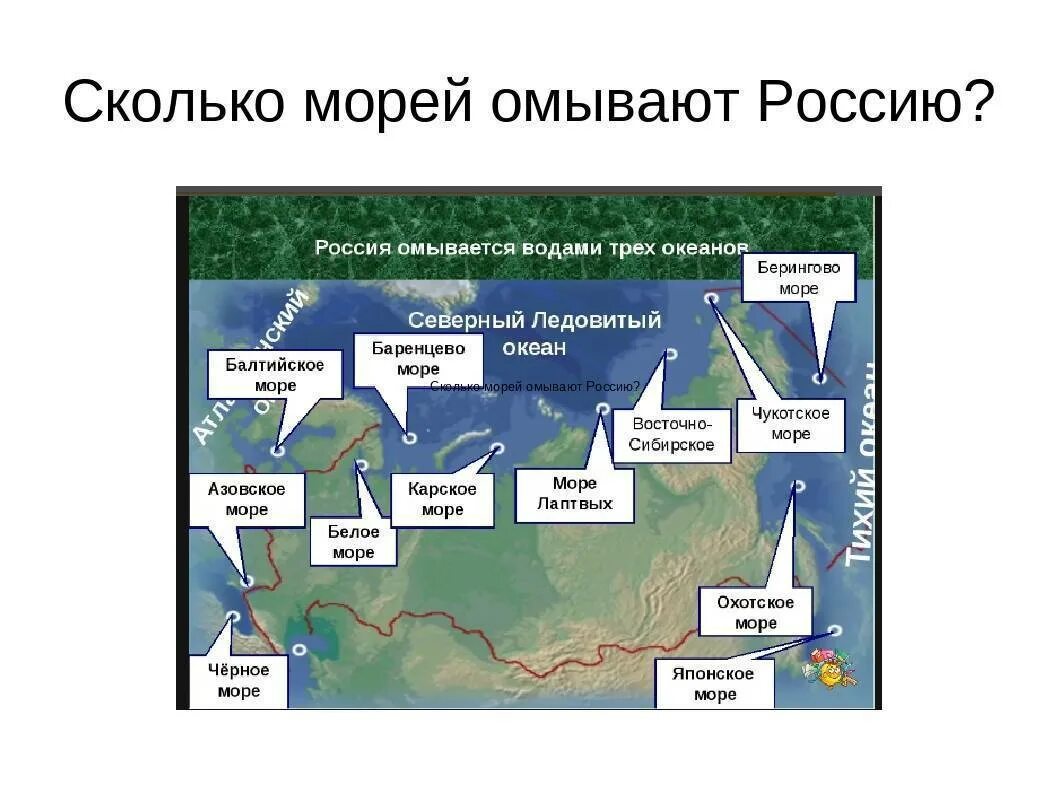 Какое море омывает побережье россии. Моря омывающие РФ. Моря омывающие Россию. Какие моря омывают Россию. Моря омывающие РРО ссию.