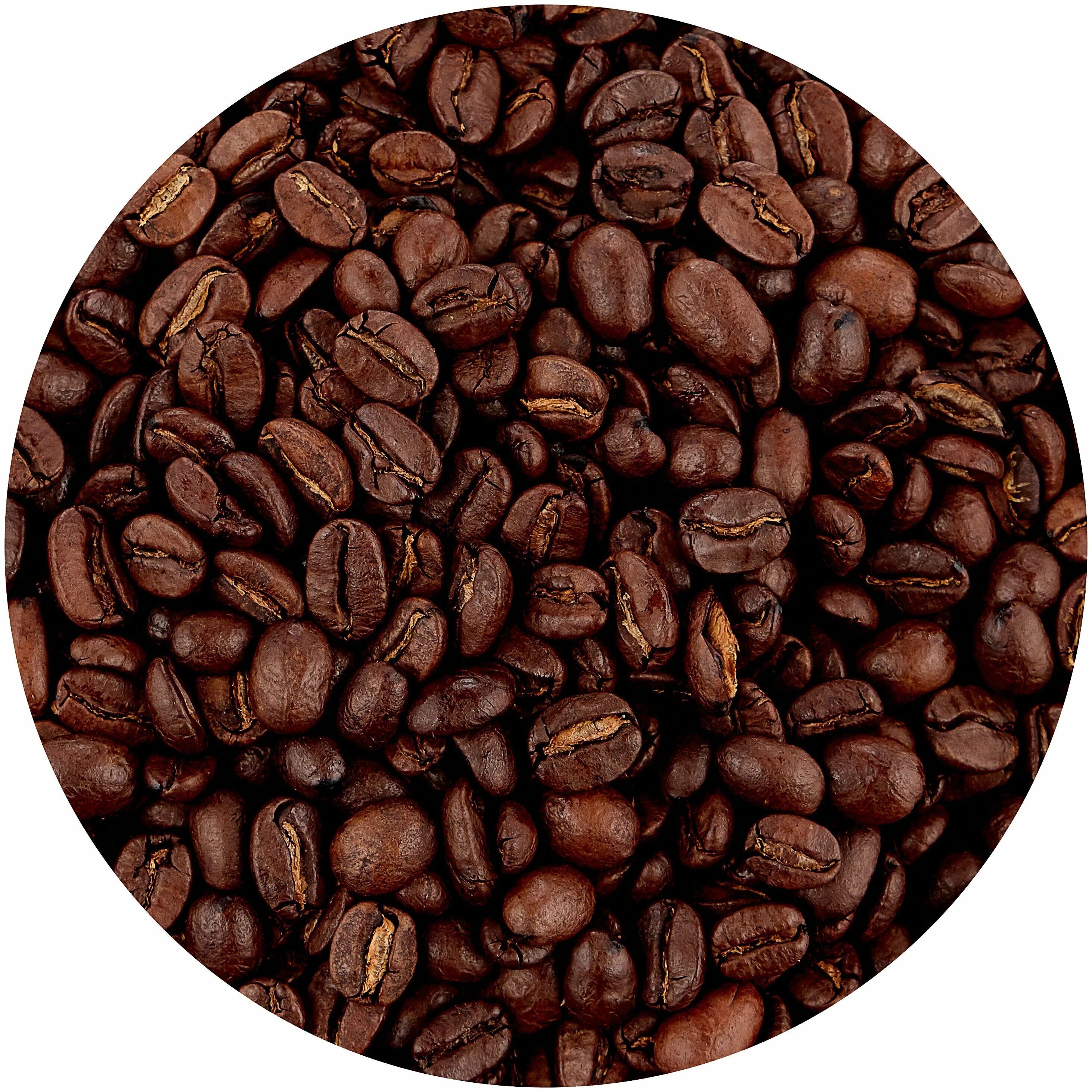 Кофе в зернах 1 кг робуста. Кофе в зернах Caffe Vergnano 1882 Bio Organic. Кофе в зернах Costadoro Espresso. Кофе в зернах Арабика и Робуста. Кофе в зернах Barista Pro Bar.