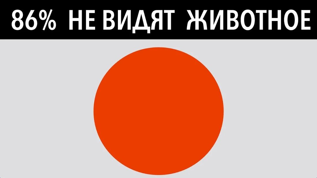 Тест на зрение. Тест на зрение круги. Только 1 процент людей увидят. Тест на зрение красный круг. Чем видят 4 буквы