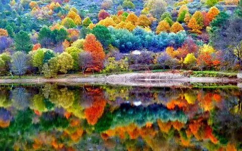 Яркие краски осеннего леса